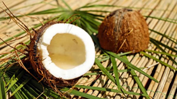 coconut