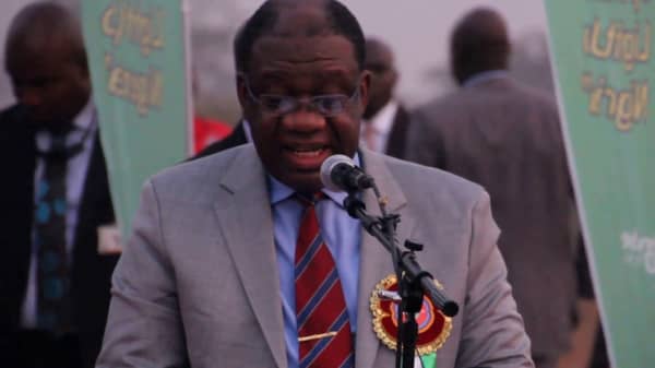 Former Minister of Power, Prof Chinedu Nebo