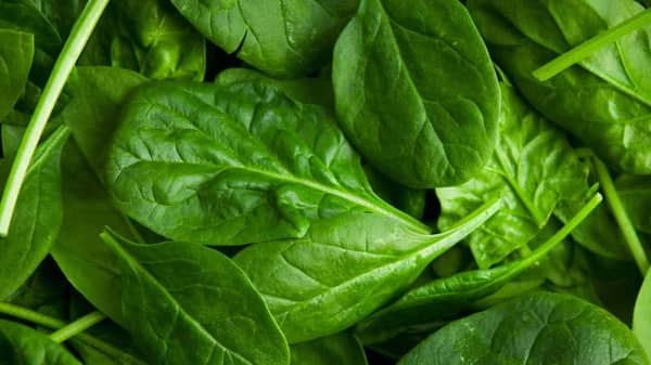 spinach-leaves