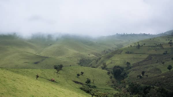 ENVIRONMENT-ECONOMY-AGRICULTURE-SILVICULTURE