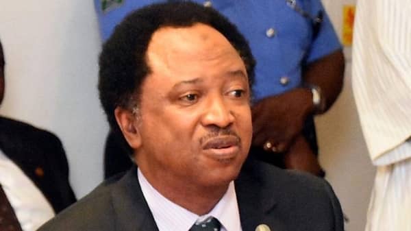 shehu sani