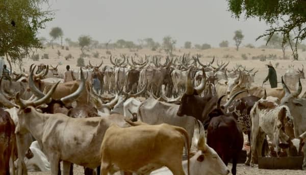 18-dead-as-herders-farmers-clash
