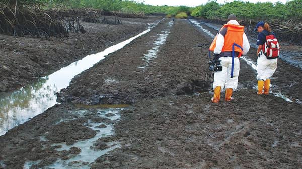 Ogoni cleanup