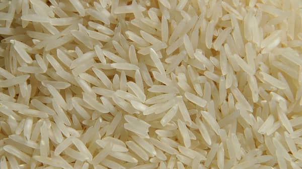 rice