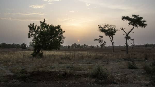 CAMEROON-ECONOMY-AGRICULTURE-LIVESTOCK