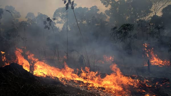 Brazil Amazon Fires