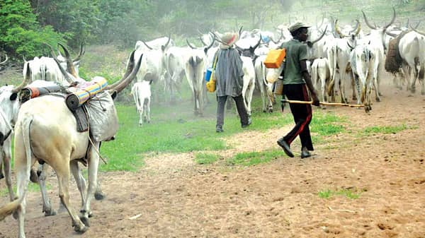 Herdsmen-13-11-16