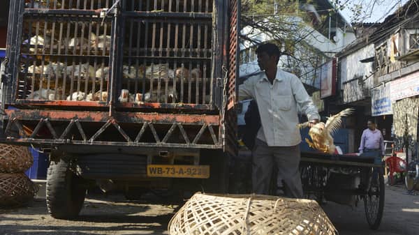 INDIA-CHINA-VIRUS-POULTRY