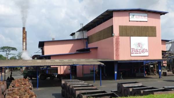 Okomu-Oil-Palm-Nigeria