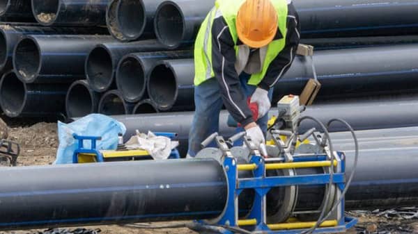 shutterstock_1113959612-1-800×400