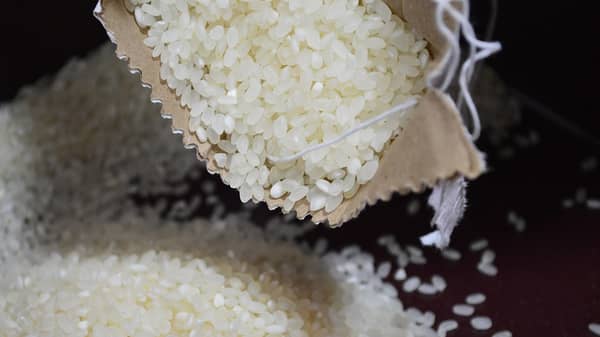 rice