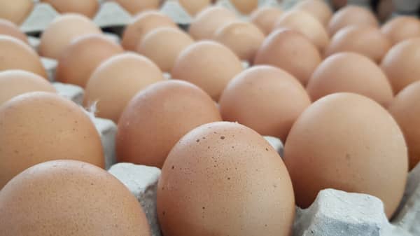 tray-of-eggs-salmonella-shutterstock_1431677000