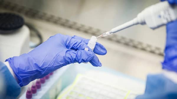 Coronavirus-33-2-653×365