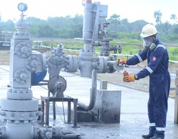 DSC_8088-1024×678-573×447