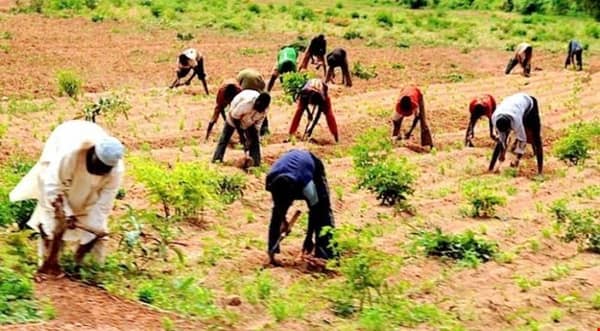 1576062235115acc5f4a9-farmers-696×385