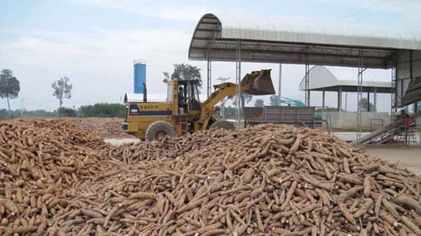 A-cassava-processing-factory