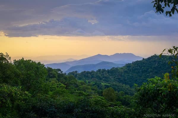 Gashaka Gumpti, Taraba State. Photo Credit Adedotun Ajibade