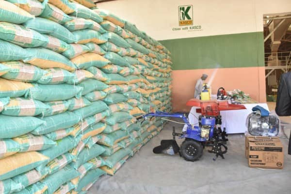 Kano State Fertiliser Company