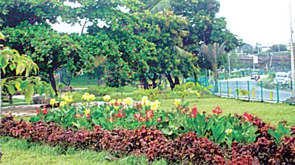 Community park with trees