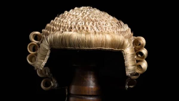 lawyer wig