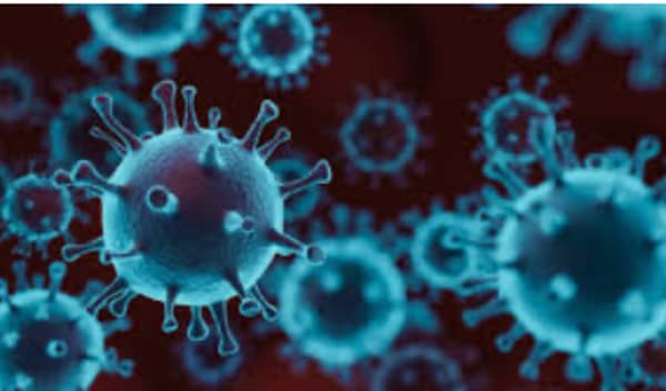 2B14879E-7A45-45D8-A8F8-38862D8C5EF9