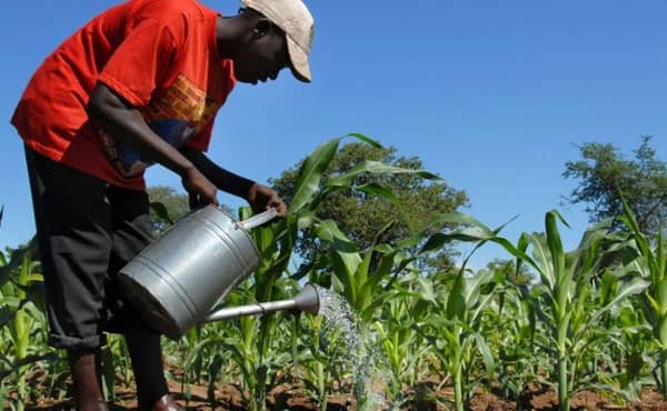 Agriculture-Farming-1-696×430