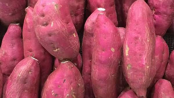 Sweet potatoes