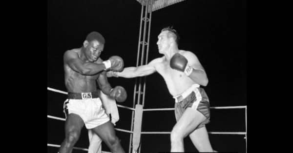 Tiger-Fullmer-web-840×440