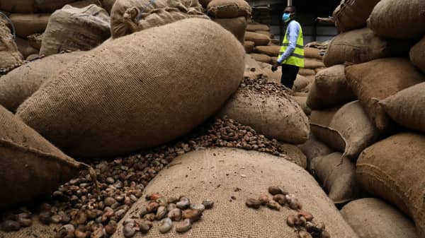 Cashew nut warehouse operations during COVID-19 in Abidjan