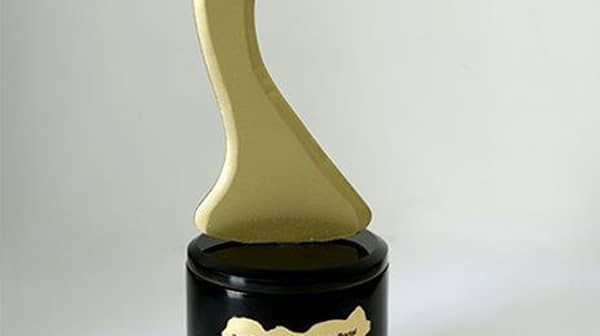 Nigeria Technology Award