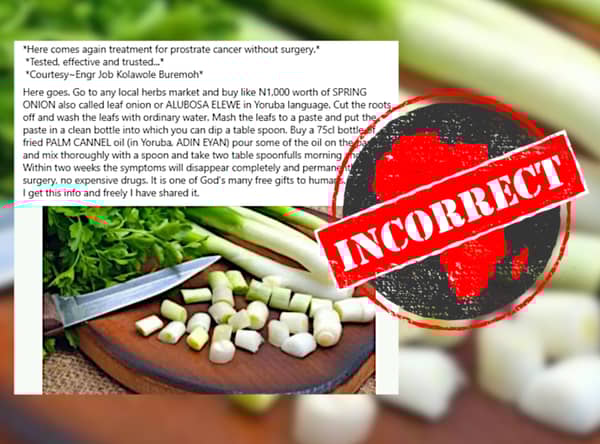 springonion_incorrect-768×569