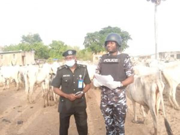 IMG_20210326_172856_589-300×225