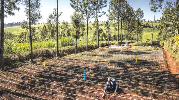 Mini drip irrigatoin system