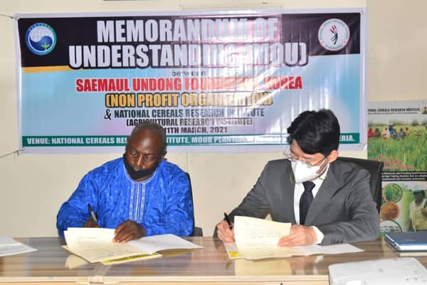 Director and Head of Research Department at National Cereal Research Institute (NCRI), Niger State, Dr Samuel Oladele Bakare and the Country Director, Republic of  Korea, Saemaul Undong Foundation (SUF), Mr Lee Kyungbok  appending their signatures to the MoU to improve the knowledge of rice farmers in Katsina State.