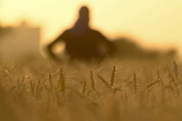 INDIA-ECONOMY-AGRICULTURE