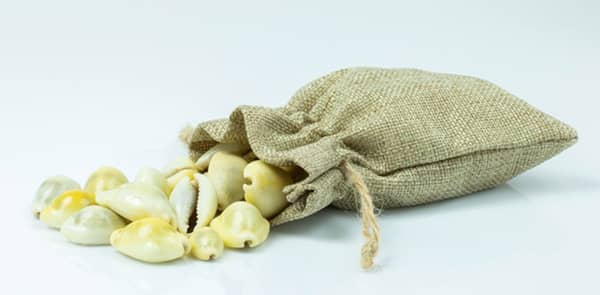 Cowrie shell money – Image – tradol – Adobe