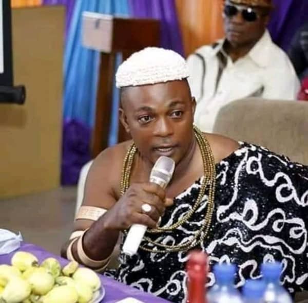 Eze-Charles-Iroegbu-kidnapped-with-his-chiefs–696×687