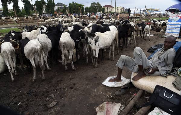 NIGERIA-RELIGION-ISLAM-FESTIVAL