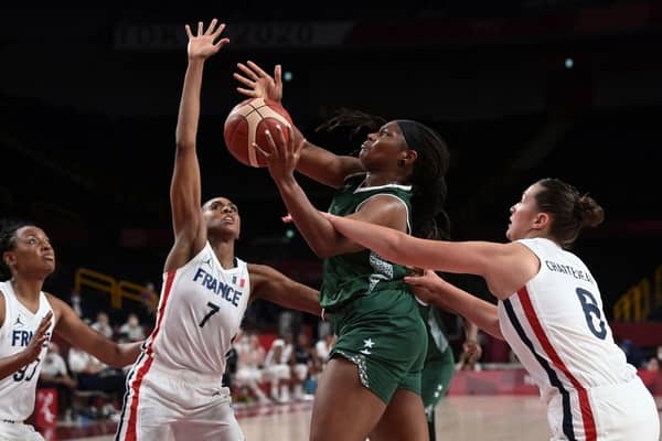 DTigress-France-Nigeria