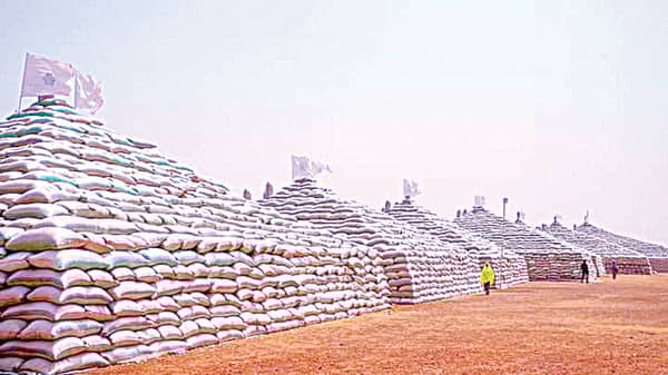 Pyramids-copy……………..