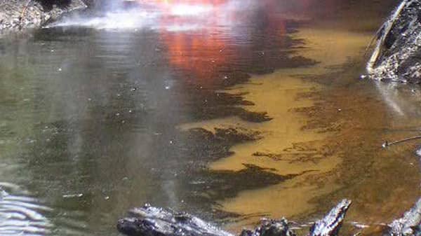 FILES-NIGERIA-ENVIRONMENT-COURT-SHELL-LAW