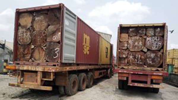 IMG_20210730_114811_443-300×225