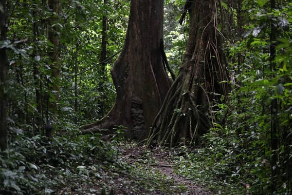 NIGERIA-ENVIRONMENT-NATURE-ANIMAL