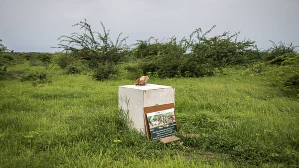 SENEGAL-DEVELOPMENT-CELEBRITY-MUSIC