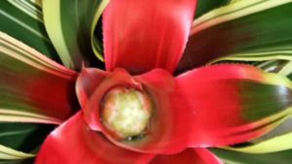 a51478042d8c6003c2235110a427872d