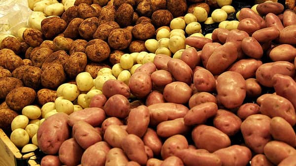 1200px-Various_types_of_potatoes_for_sale