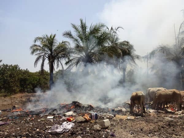 Open burning of waste: time for urgent action