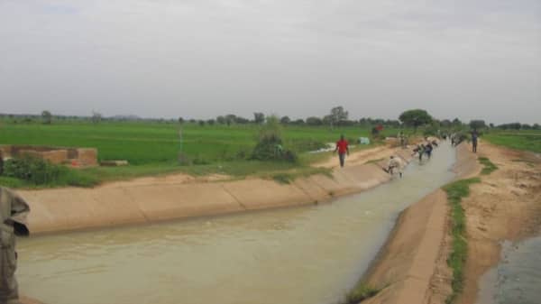 Tiga Dam irrigation channels
