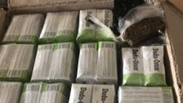 IMG-20220327-WA0019-225×300