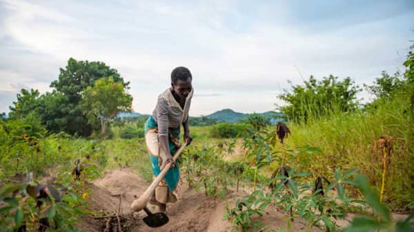 Woman-farmer-20-03-22